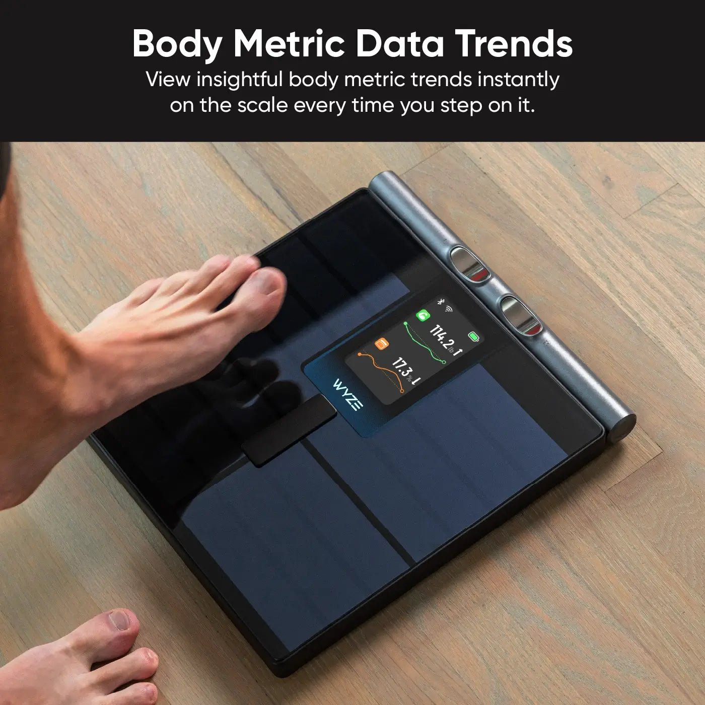 wyze-scale-ultra-bodyscan-wyze-labs-inc-2222412.jpg